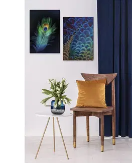 Obrazy Plátno maľba Peacock Eye