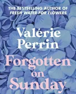 Svetová beletria Forgotten on Sunday - Valérie Perrin,Hildegarde Serle