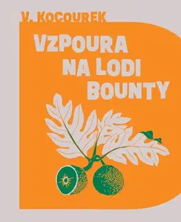 Beletria - ostatné Tympanum Vzpoura na lodi Bounty
