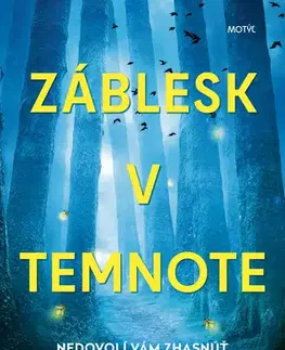 Detektívky, trilery, horory Záblesk v temnote - Stacy Willingham,Martina Šturcelová