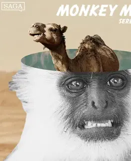 Humor a satira Saga Egmont Serendipity (EN)