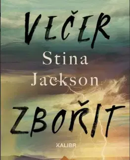 Svetová beletria Večer zbořit svět - Stina Jackson,Helena Matocha