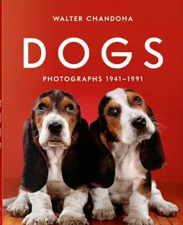Fotografia Walter Chandoha. Dogs. Photographs 1941–1991