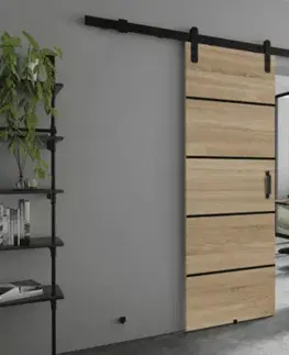 Posuvné dvere KIER Posuvné dvere LORNI PLUS DUO | 172 cm Farba: dub sonoma
