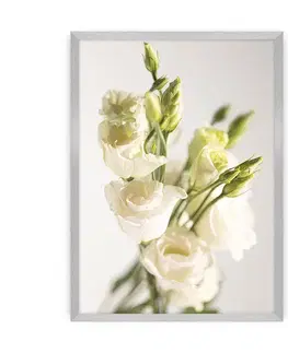 Obrazy Plagát Elegant Flowers