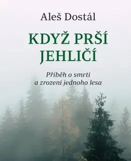 Česká beletria Když prší jehličí - Aleš Dostál