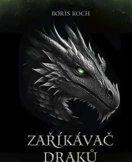 Young adults Zaříkávač draků - Boris Koch