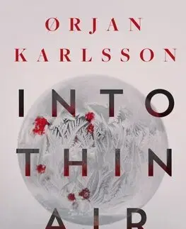 Detektívky, trilery, horory Into Thin Air - Orjan Karlsson