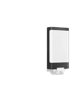 Svietidlá Steinel 056506 - LED Vonkajšie svietidlo so senzorom L 240 LED/7,5W/230V IP44 056506