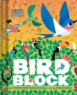 Leporelá, krabičky, puzzle knihy Birdblock (An Abrams Block Book) - Christopher Franceschelli