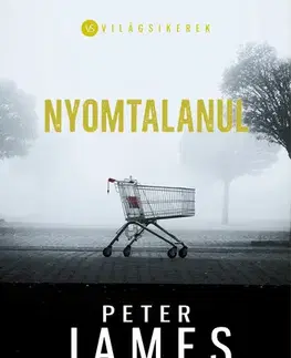 Detektívky, trilery, horory Nyomtalanul - Peter James