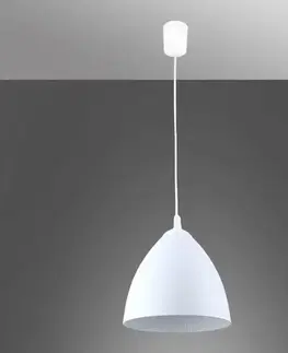 Lampy do obývačky Luster DAWID 11747 WHITE 1XE27