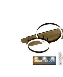 Svietidlá  LED Stmievateľné stropné svietidlo LED/70W/230V 3000-6500K + diaľkové ovládanie TA1300/BW