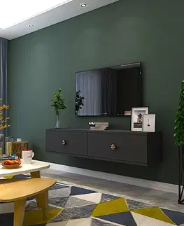 TV stolíky TV stolík Zuzu 120 - Anthracite, Gold