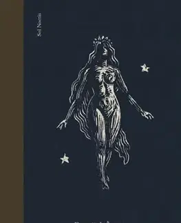 Slovenská beletria Nevesta hôľ - František Švantner