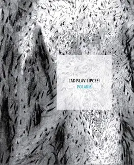 Slovenská poézia Polaris - Ladislav Lipcsei,Jakub Milčák