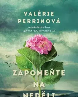 Romantická beletria Zapomeňte na neděli - Valérie Perrin