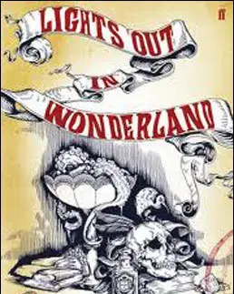 Cudzojazyčná literatúra Lights Out in Wonderland - DBC Pierre
