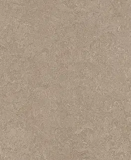 Marmoleum marbled fresco FORBO Marmoleum marbled fresco Sparrow 3252