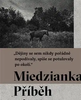 Fejtóny, rozhovory, reportáže Miedzianka - Filip Springer