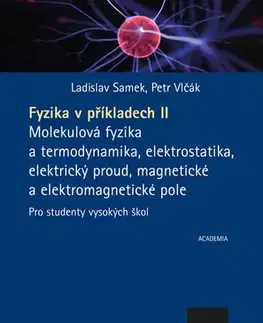 Pre vysoké školy Fyzika v příkladech II. - Petr Vlčák,Ladislav Samek