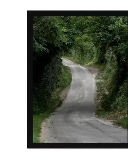 Obrazy Obraz Green Road 30x40cm