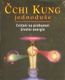 Čínska medicína Čchi kung jednoduše - Lee Holden,Chia Mantak,Michal Šubrt