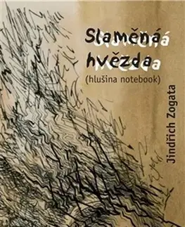 Česká beletria Slaměná hvězda - Jindřich Zogata