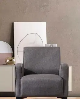Kreslá Kreslo ušiak Petra - Anthracite