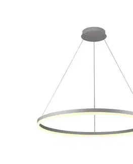 Svietidlá BRILAGI - LED stmievateľný luster na lanku CIRCLE LED/55W/230V 3000-6500K strieborný + DO BG-J4309/S