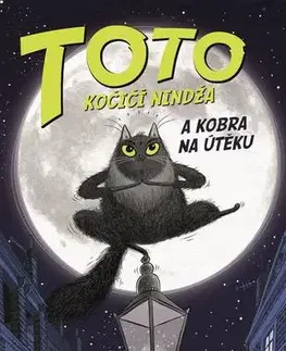 Pre deti a mládež - ostatné Toto – Kočičí nindža a kobra na útěku - Dermot OLeary