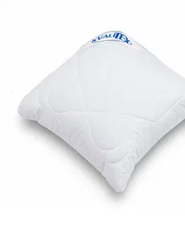 Vankúše Kvalitex Vankúš Aloe Vera so zipsom 300 g, 40 x 40 cm