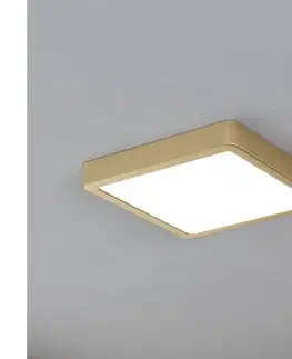 Svietidlá Eglo 900183 - LED stropné svietidlo FUEVA LED/17W/230V 900183