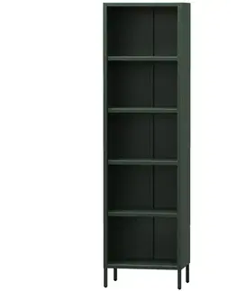 Regály v podkrovnom štýle Regál Kovový Vysoký Mario Modern Bottle Green