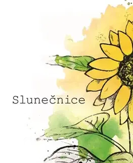 Pre deti a mládež - ostatné Slunečnice - Anna Gajdošová