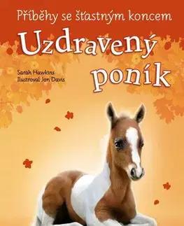 Pre deti a mládež - ostatné Příběhy se šťastným koncem: Uzdravený poník - Hawkins Sarah