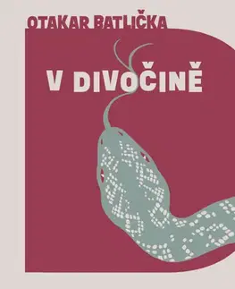 Česká beletria Tympanum V divočině - audiokniha CD