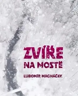 Česká beletria Zvíře na mostě - Lubomír Macháček