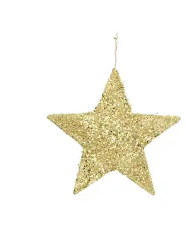 Vianočné dekorácie Dekorácia Golden Star 25cm
