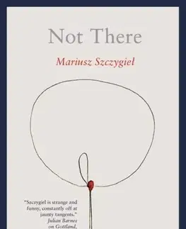 Novely, poviedky, antológie Not There - Mariusz Szczygiel