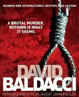 Cudzojazyčná literatúra Zero Day - David Baldacci