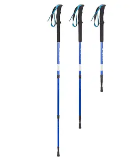 Trekingové palice Trekingové palice inSPORTline Altiplano 100 Pair modré