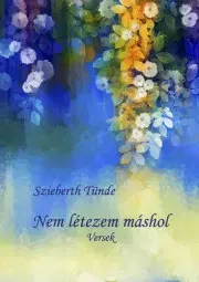 Svetová beletria Nem létezem máshol - Szieberth Tünde