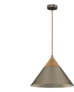 Svietidlá  Luster na lanku SINGLE 1xE27/15W/230V mosadz/buk 439