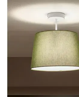 Svietidlá BRILAGI - LED prisadený luster CERIA 1xE27/60W/230V pr. 30 cm biela/zelená BG3992+EG781039
