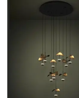Svietidlá Eglo 390339 - LED Stmievateľný luster na lanku DRACERA 10xLED/2,3W/230V pr. 58 cm 390339