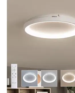 Svietidlá BRILAGI - LED stmievateľné stropné svietidlo FALCON SLIM LED/42W/230V pr. 50 cm biela +DO BRX1330-500/BI