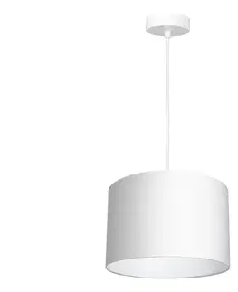 Svietidlá  Luster na lanku ARDEN 1xE27/60W/230V pr. 25 cm biela 3427