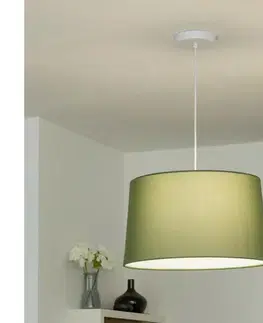 Svietidlá BRILAGI - LED luster na lane CERIA 1xE27/40W/230V priemer 45 cm zelený EG300171+EG781045