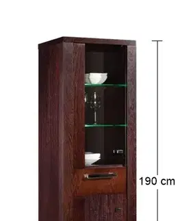 Vitríny PYKA Remi 0,5 1S DSZ DPE vitrína drevo D16